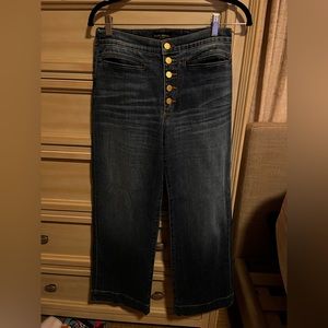 Ramy Brook High Waisted Button Fly Wide Leg Trouser Jeans Size 27 NWOT